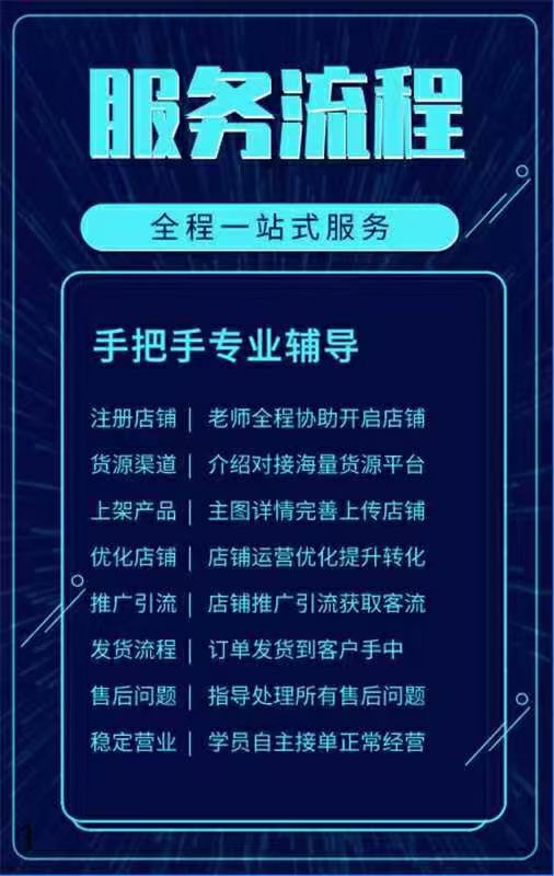 秦先生其他供需小投入/开无货源网店
