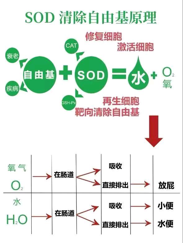 王先生找合伙人