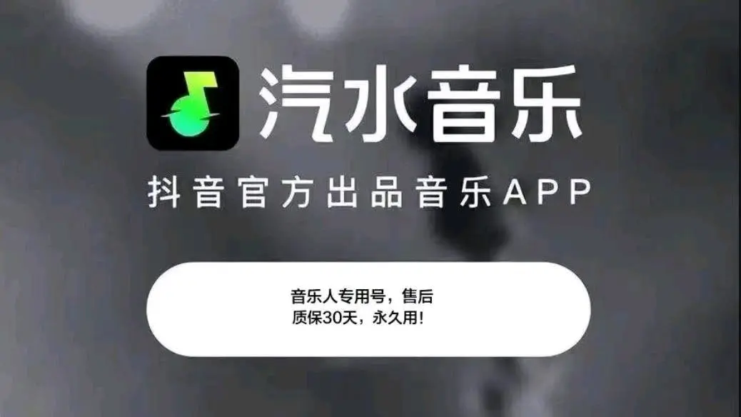 董志佳其他供需共享汽水音乐人计划项目,月入*