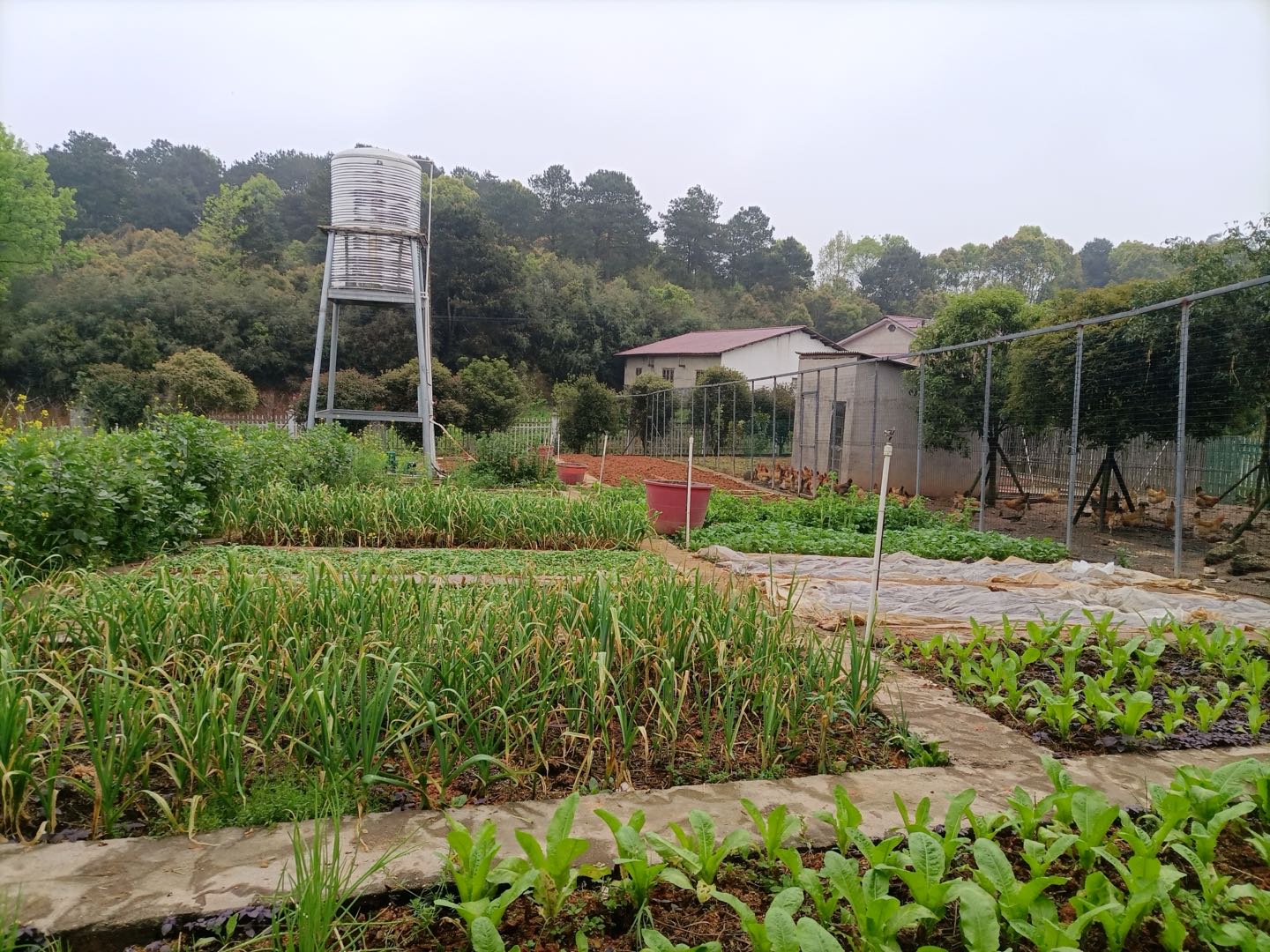 周宁场地活动湖南长沙我出场地，寻求养老护理院，农家采摘，农家乐项目