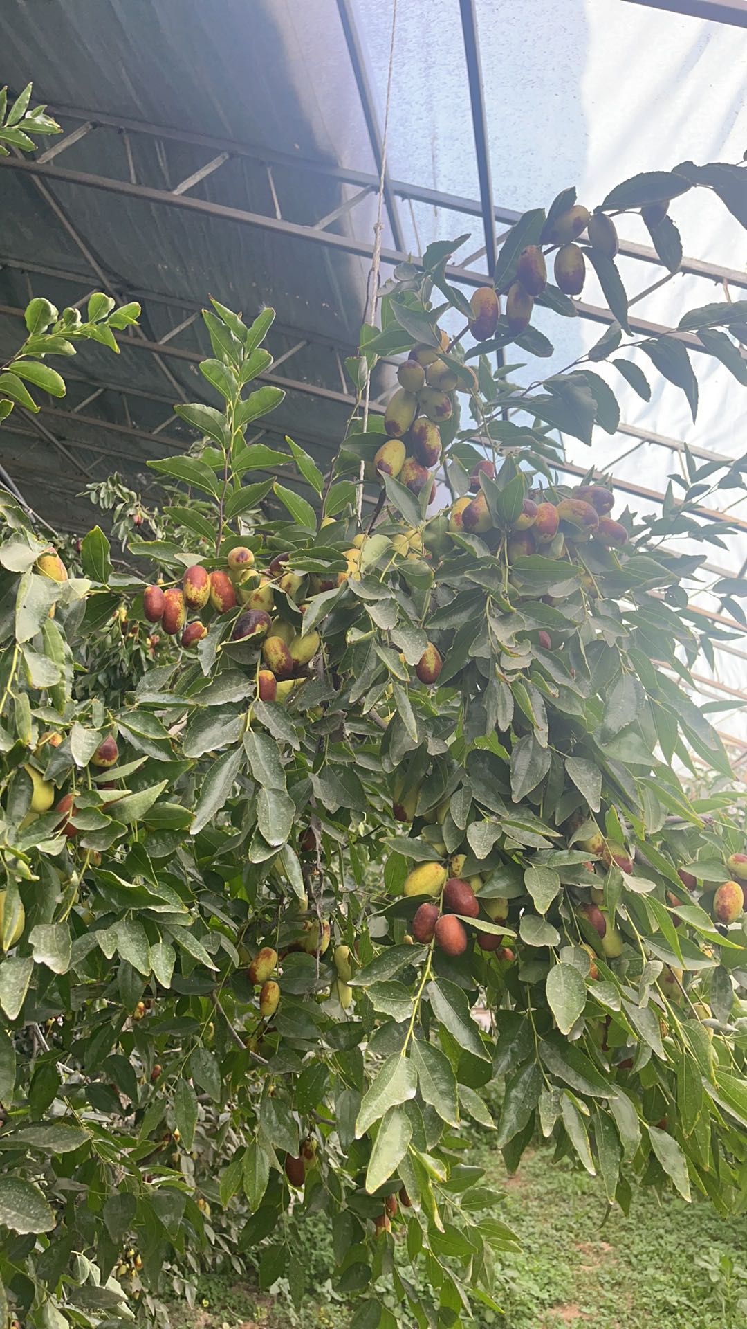 张先生品牌货源