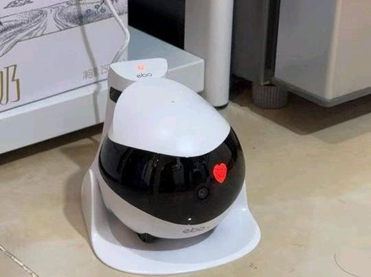 许女士其他供需