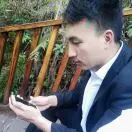 李平头像
