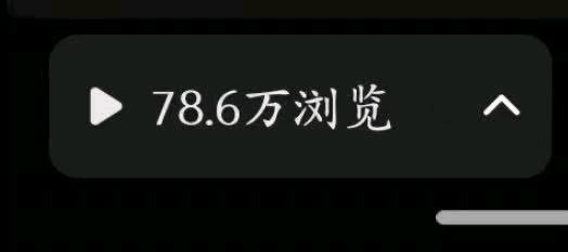 刘女士找合伙人小说推文项目,绿色平台,简单易上手,随时随地都能做,包教包会