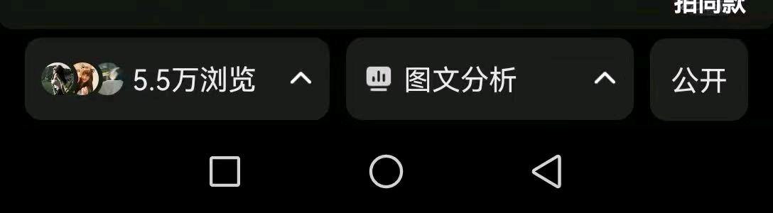 吴女士其他供需小说推广副业，小白直接冲