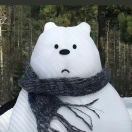 u客直谈实名认证谢承博