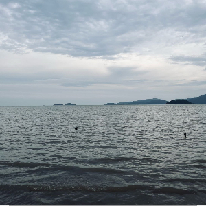 u客直谈实名认证朱先生