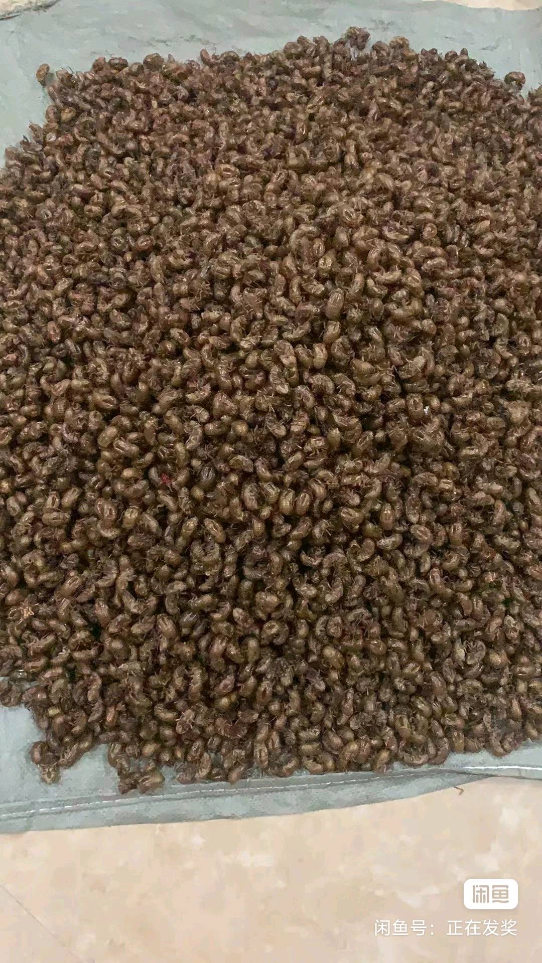 姚先生品牌货源
