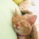 李慧敏