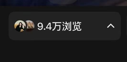 简女士找合伙人