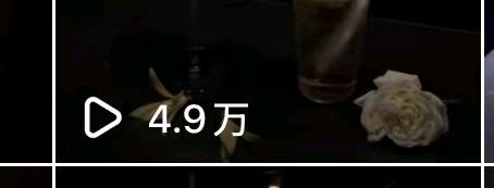 宋女士找合伙人给平台推广小说,一部手机就能做,手把手教你方法,非常简单易上手