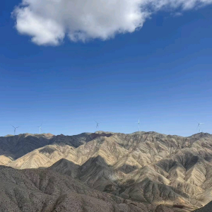 崔先生