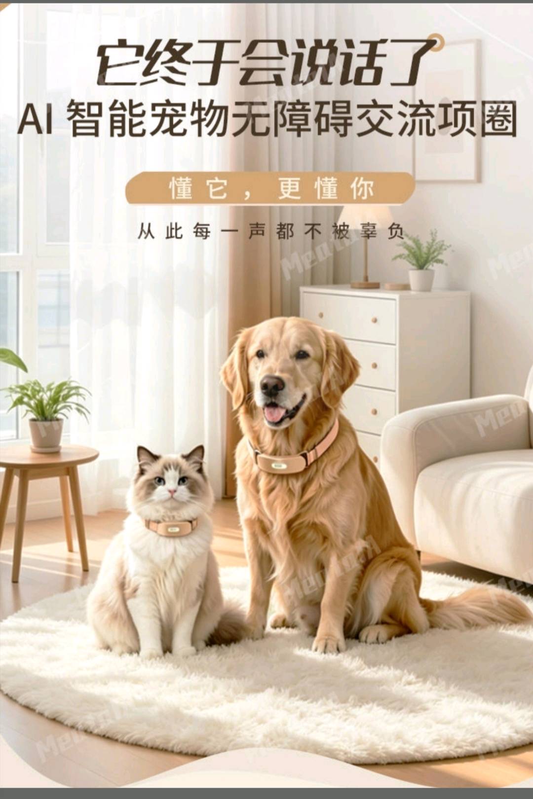 陈先生地推项目人宠AI翻译项圈 全国招代理 空白市场管道收益