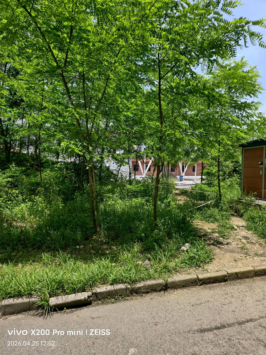 向许其他供需五一日结*花溪附近的，财大学生