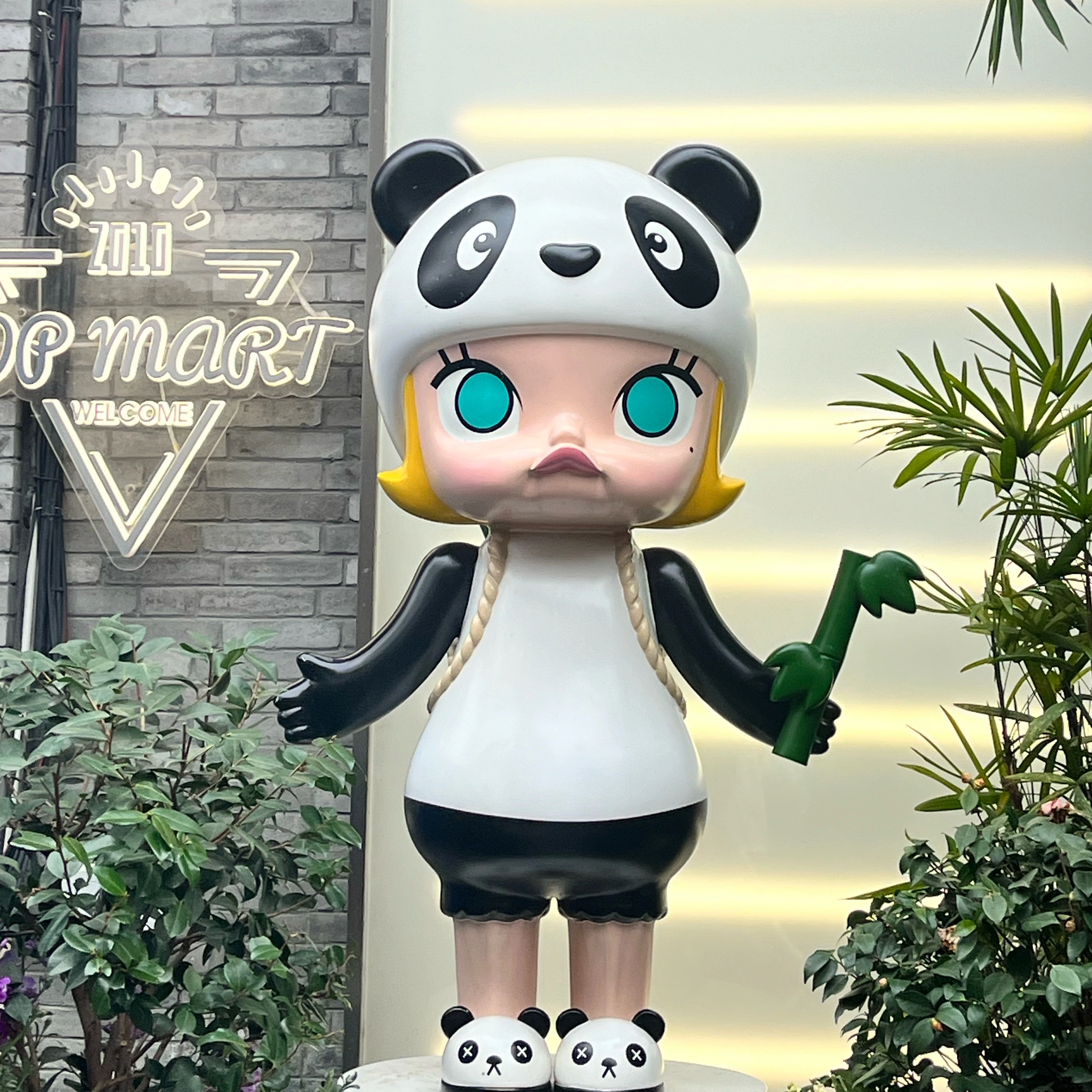 杨女士