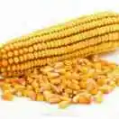 u客直谈实名认证陈荣胜