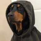 u客直谈实名认证姬伟