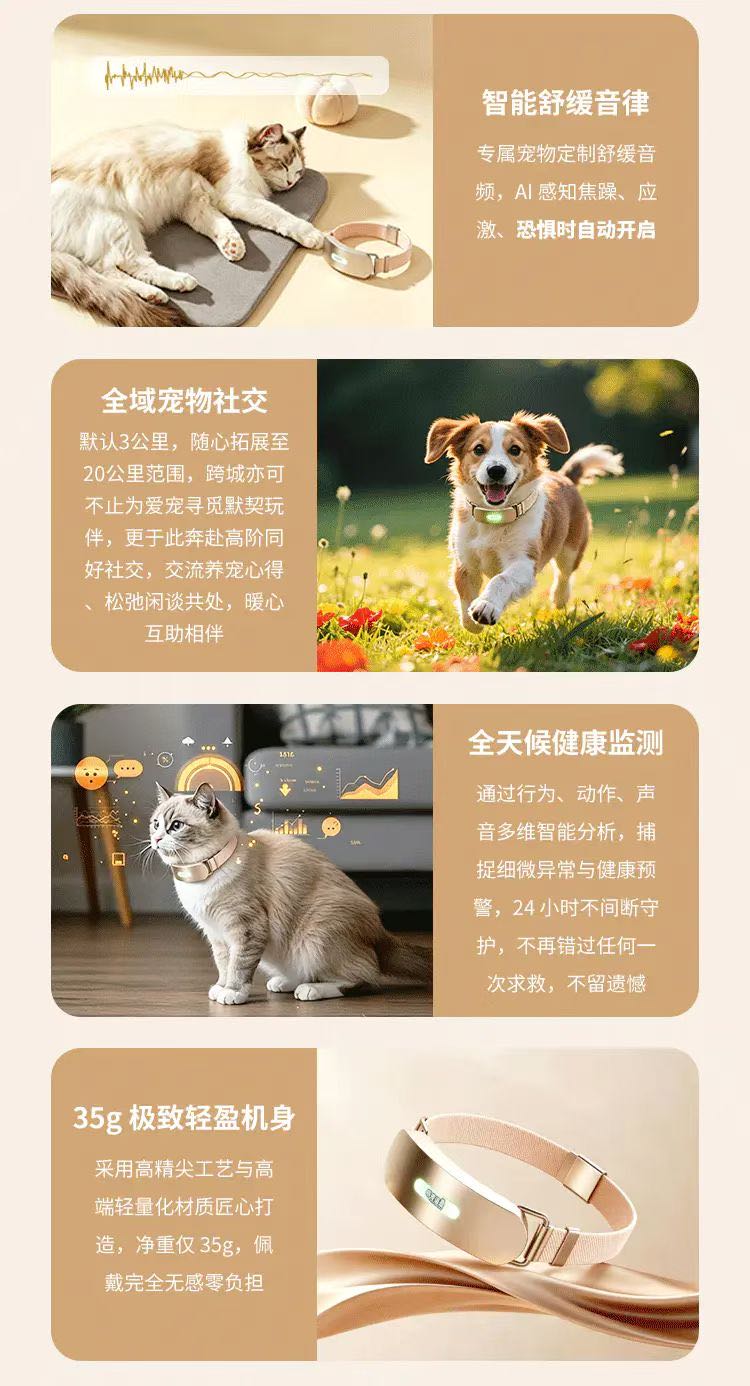 王先生找合伙人实现人宠无障碍沟通项圈/宠物经济/0费用/前期推广
