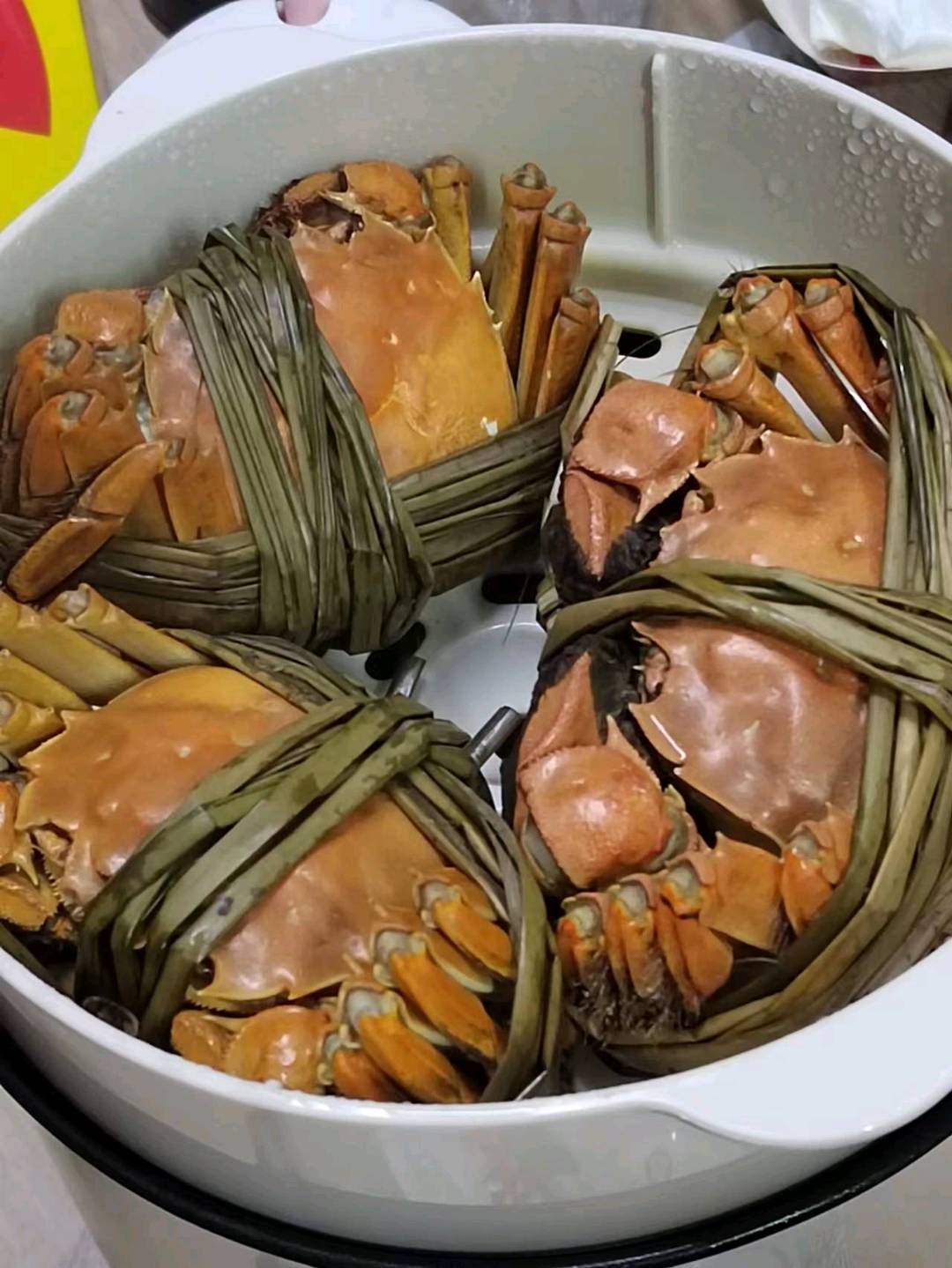 丁先生品牌货源