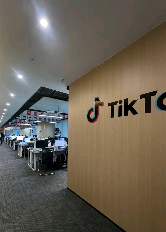 谭信其他供需跨境电商合作招募，双模式任选，极速变现