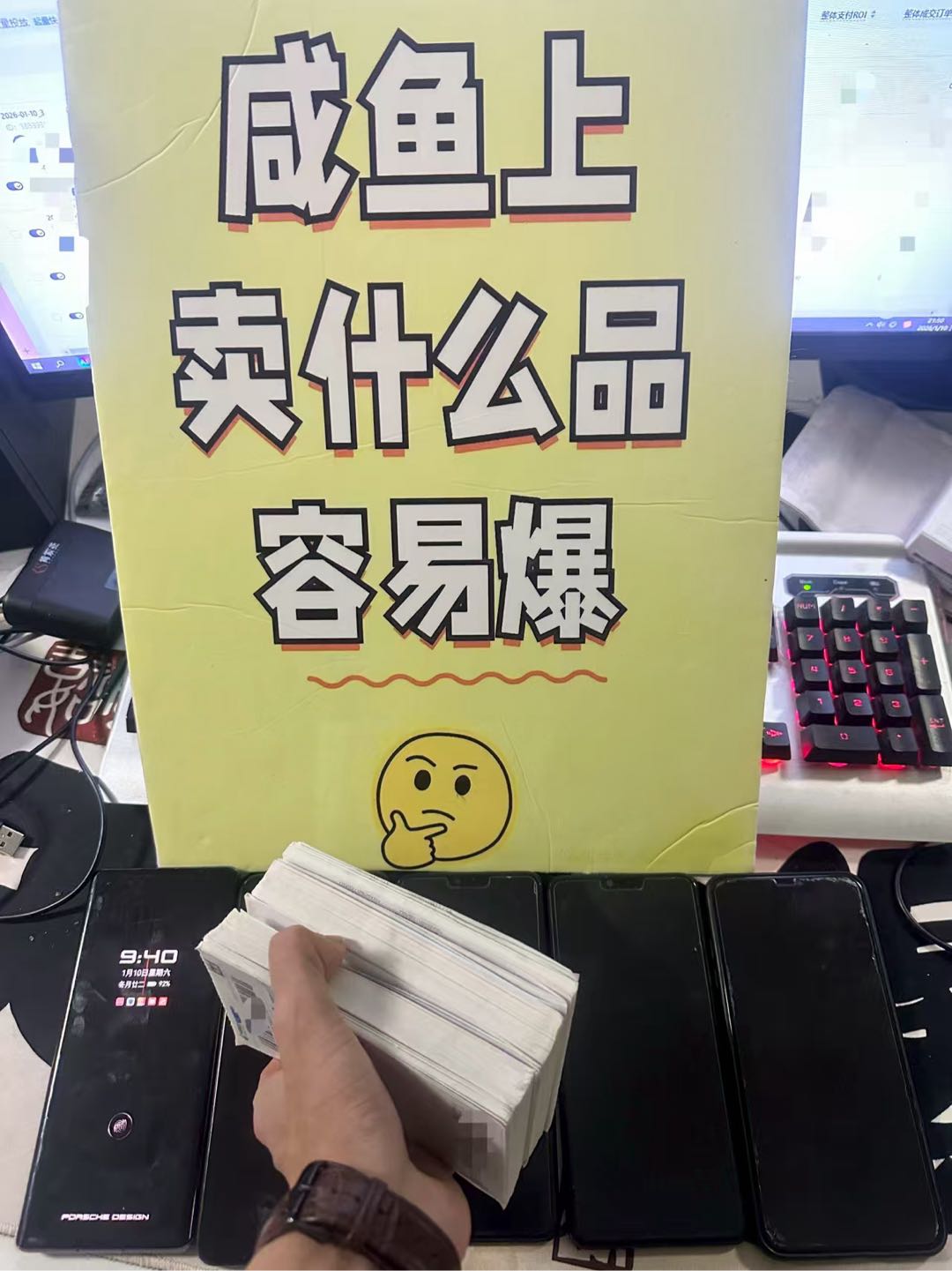 刘先生其他供需咸鱼虚拟类目  无任何成本