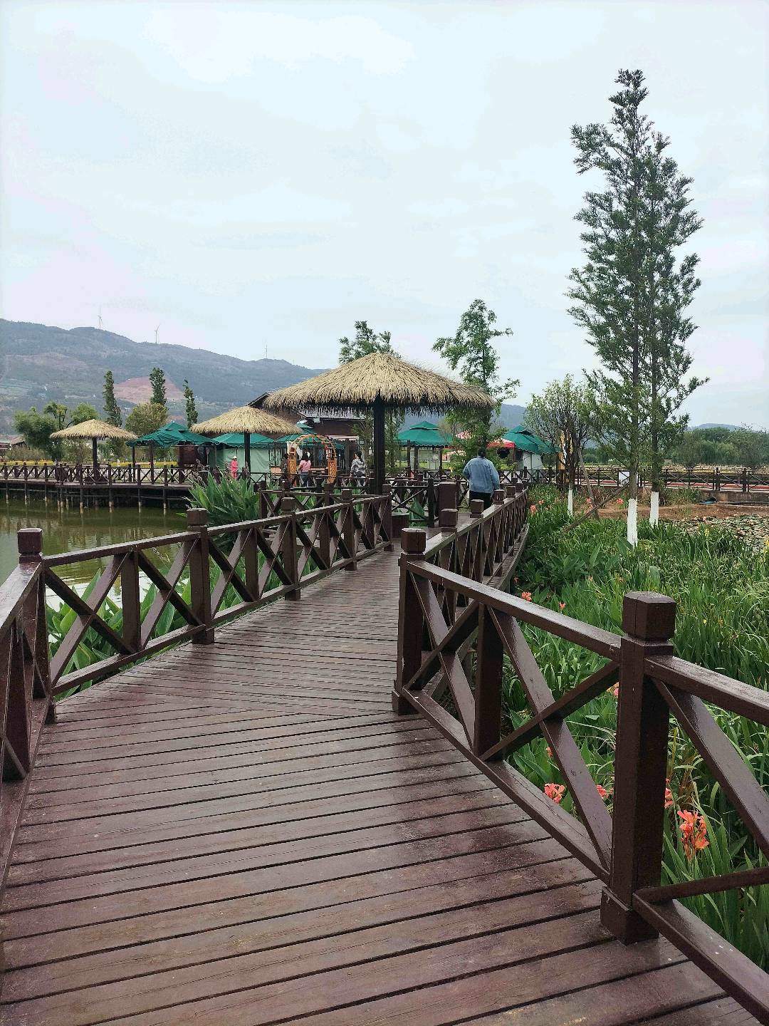 李女士异业合作寻找投资方