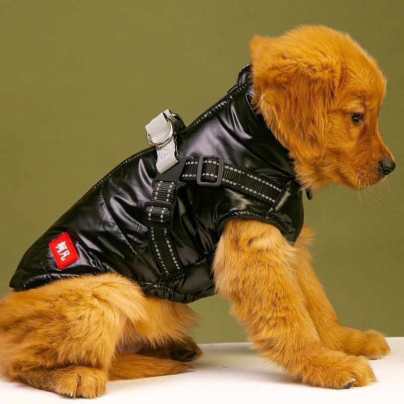 韩彦辉品牌宠物用品