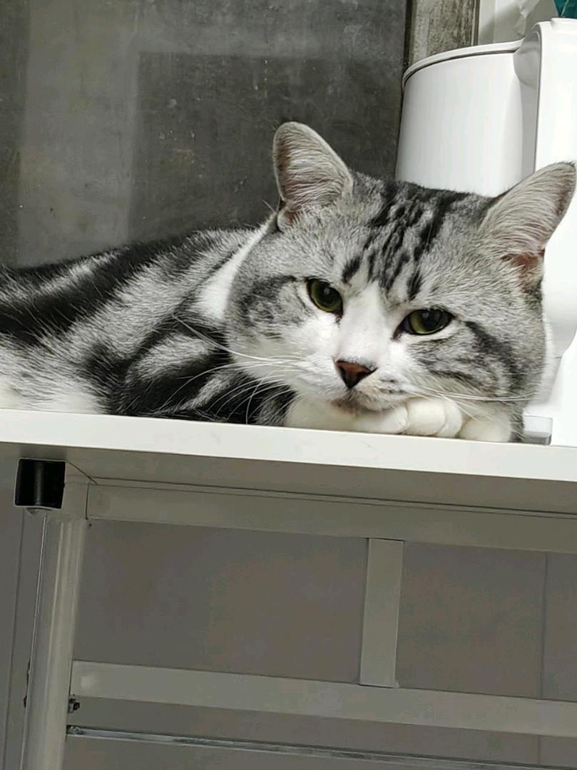 u客直谈实名认证王先生