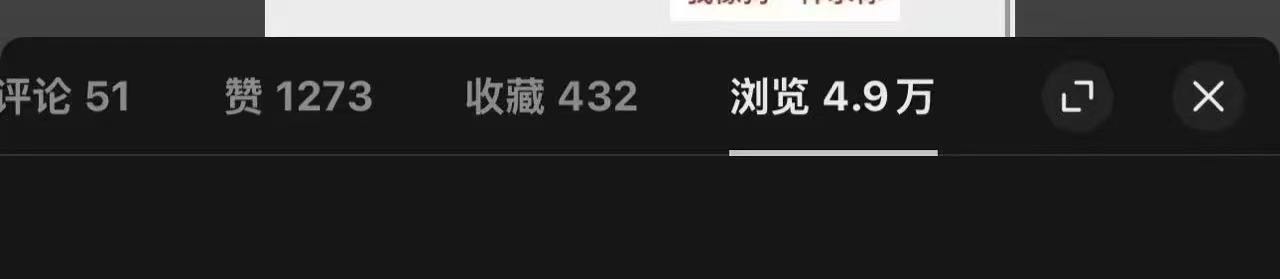 吕东其他供需小说推文项目