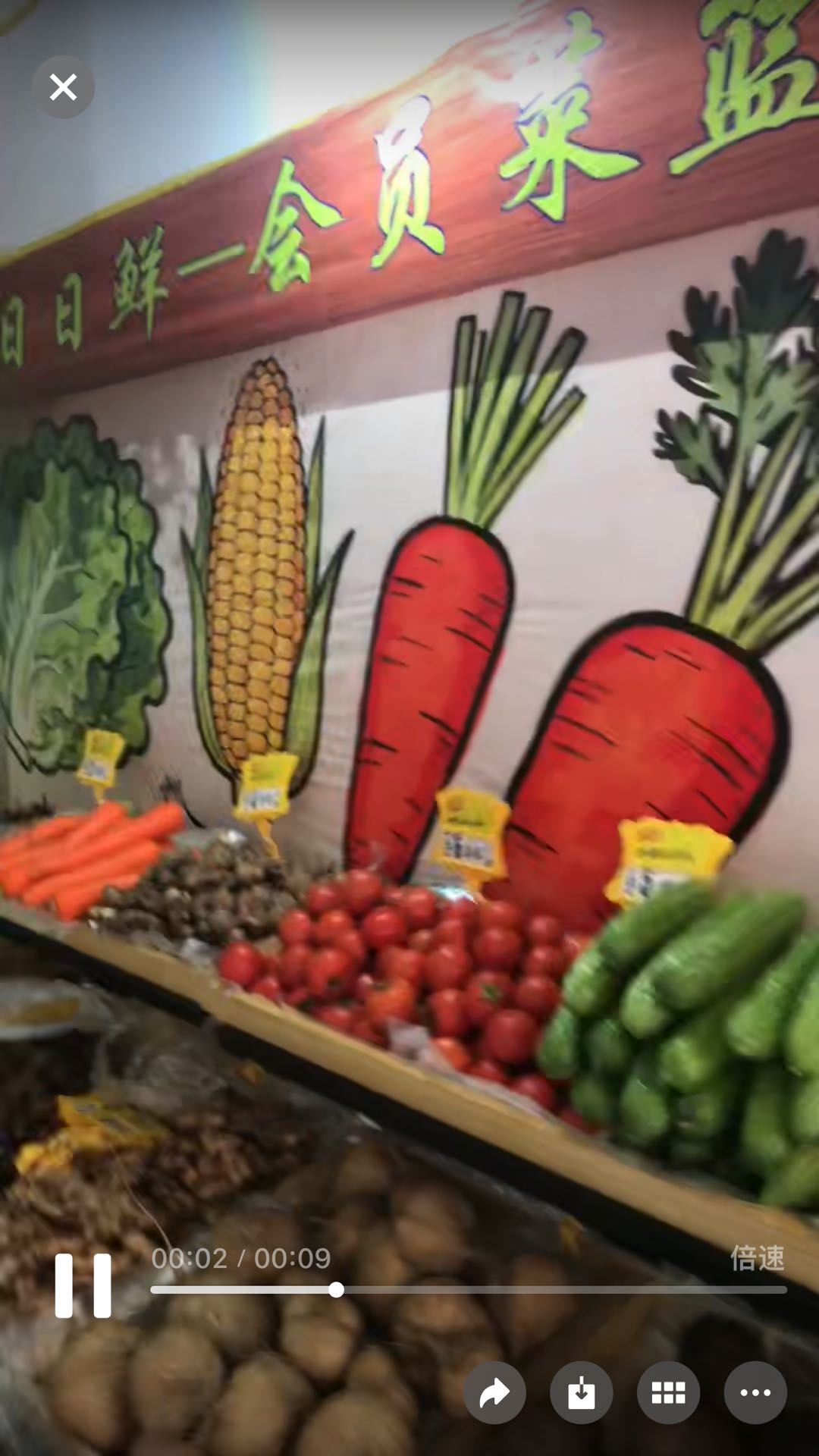 彭先生找合伙人会员制蔬菜店招合伙人，开发当地农贸市场资源！