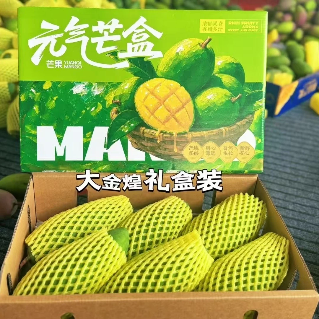 马先生