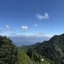 龚泉洲