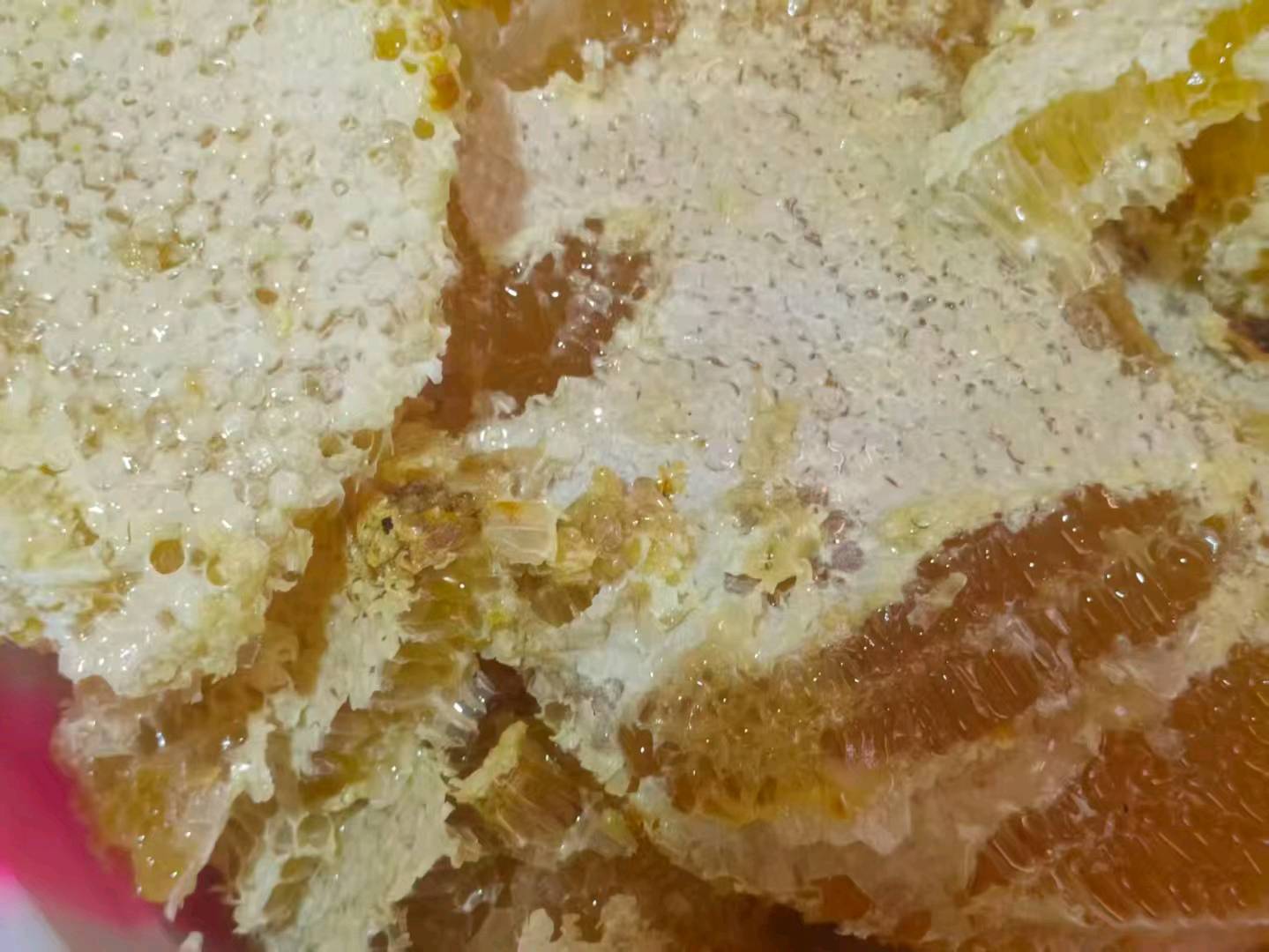 谢先生品牌货源寻求推广员合作 我提供土蜂蜜货源，佣金每单60元，一单一结