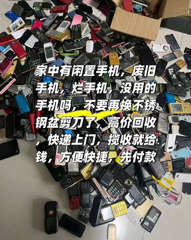 蓝显金其他供需