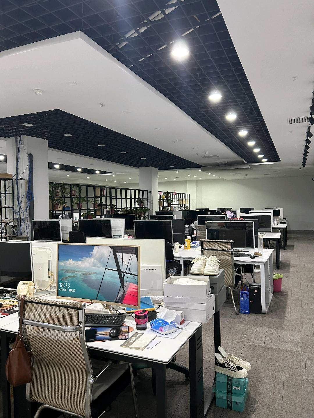 刘先生其他供需抄小说，小说推文