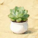 u客直谈实名认证徐立桓