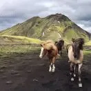 李先生