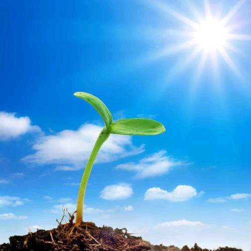 u客直谈实名认证刘先生