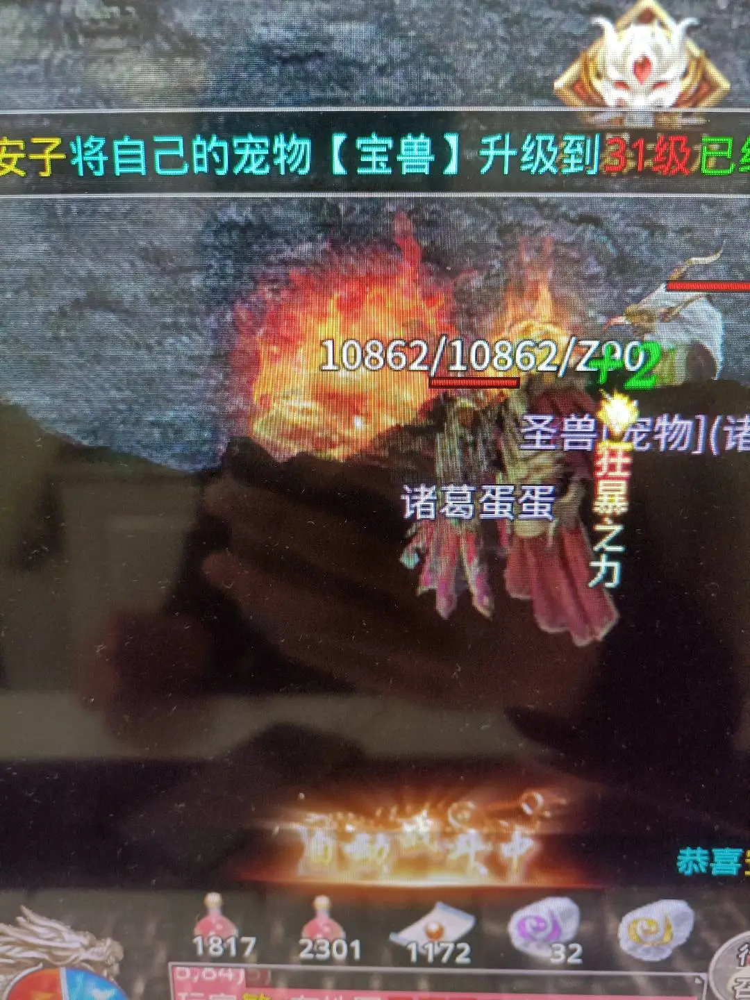 付荔鑫找合伙人全新大金官服,没有套路,官方兑米,不掉装备