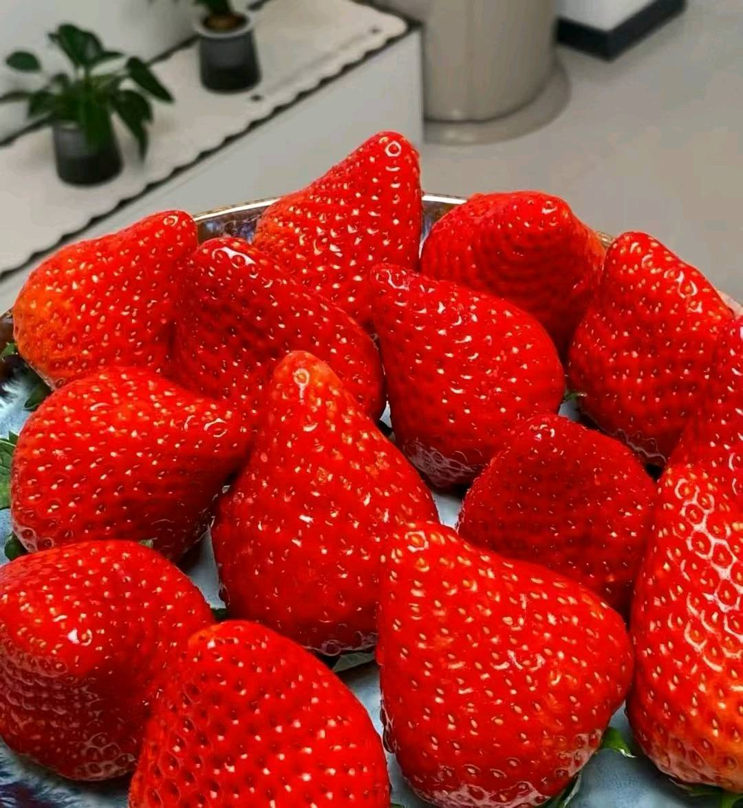 张先生品牌货源