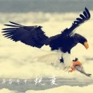 胡先生