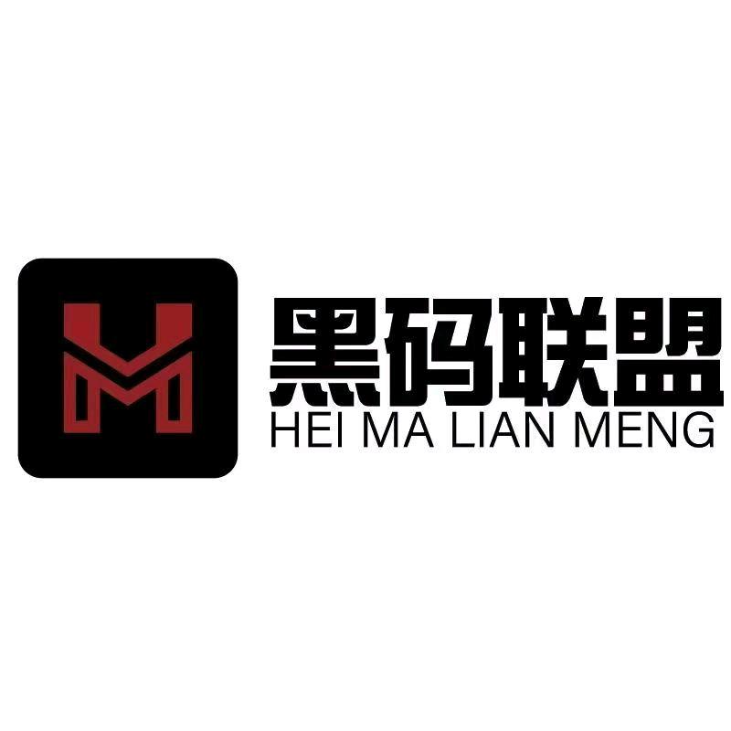 郭先生找合伙人聚合平台黑马联盟，管签服务商，直营拉新项目
招募地推，网推