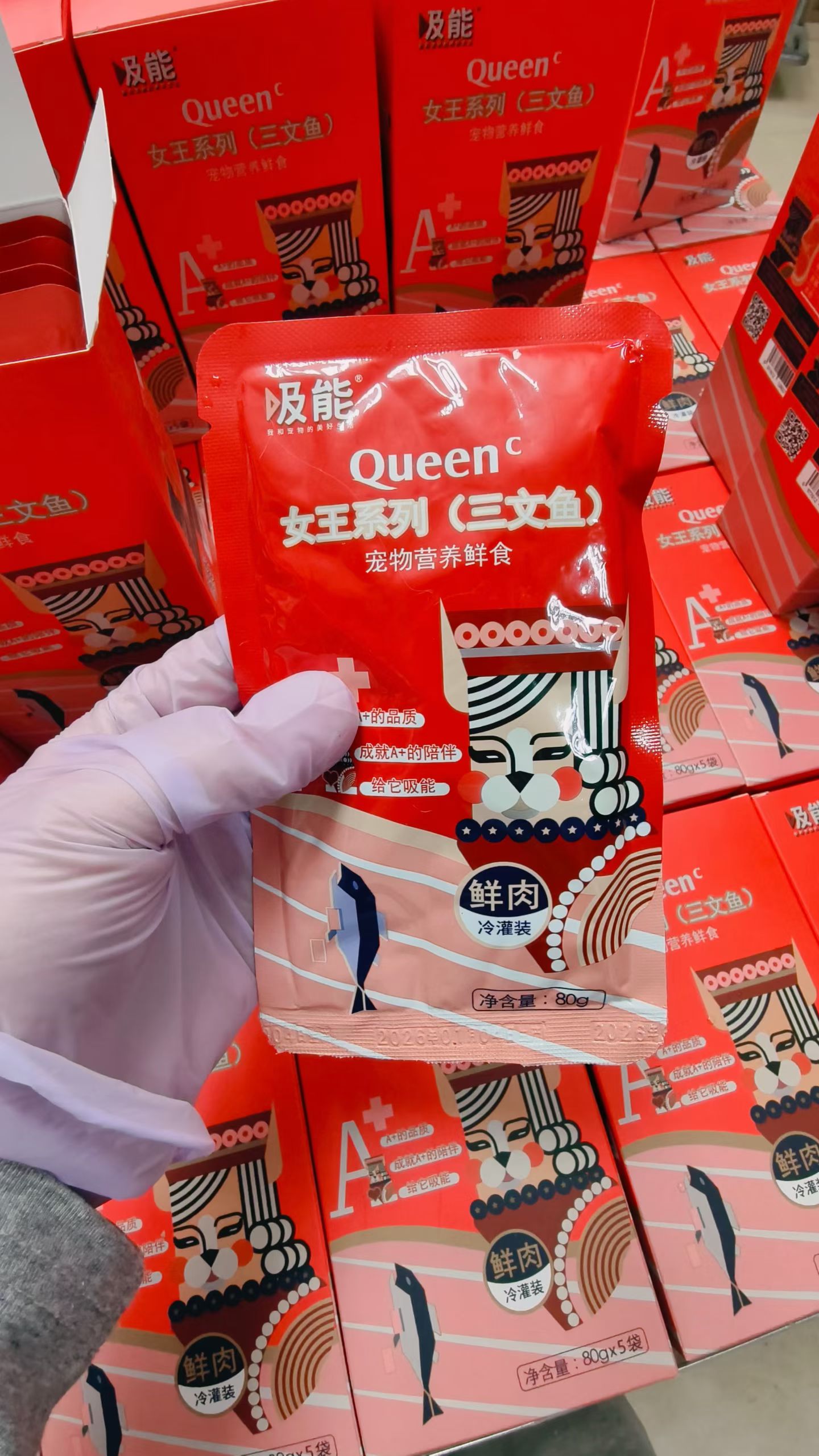 齐泽旭找合伙人