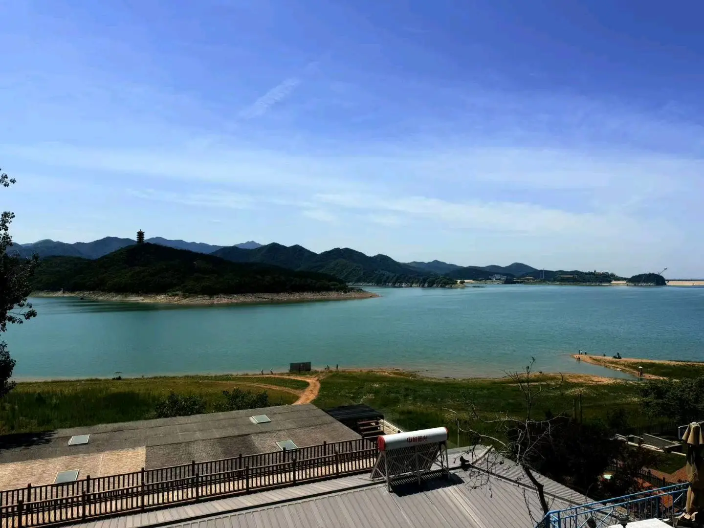王晓玲