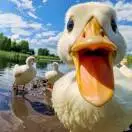 u客直谈实名认证卢先生