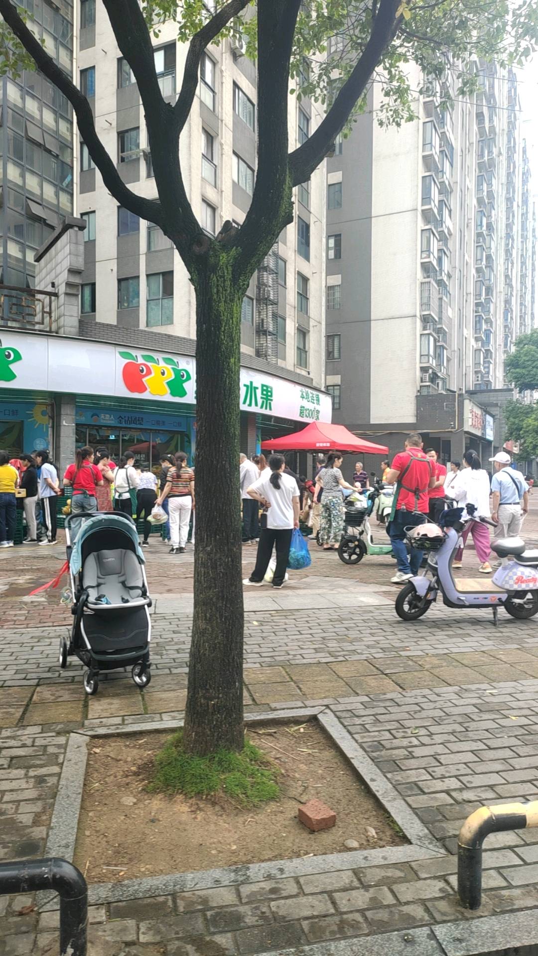 李女士地推项目