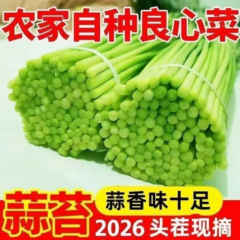 裴文杰品牌货源