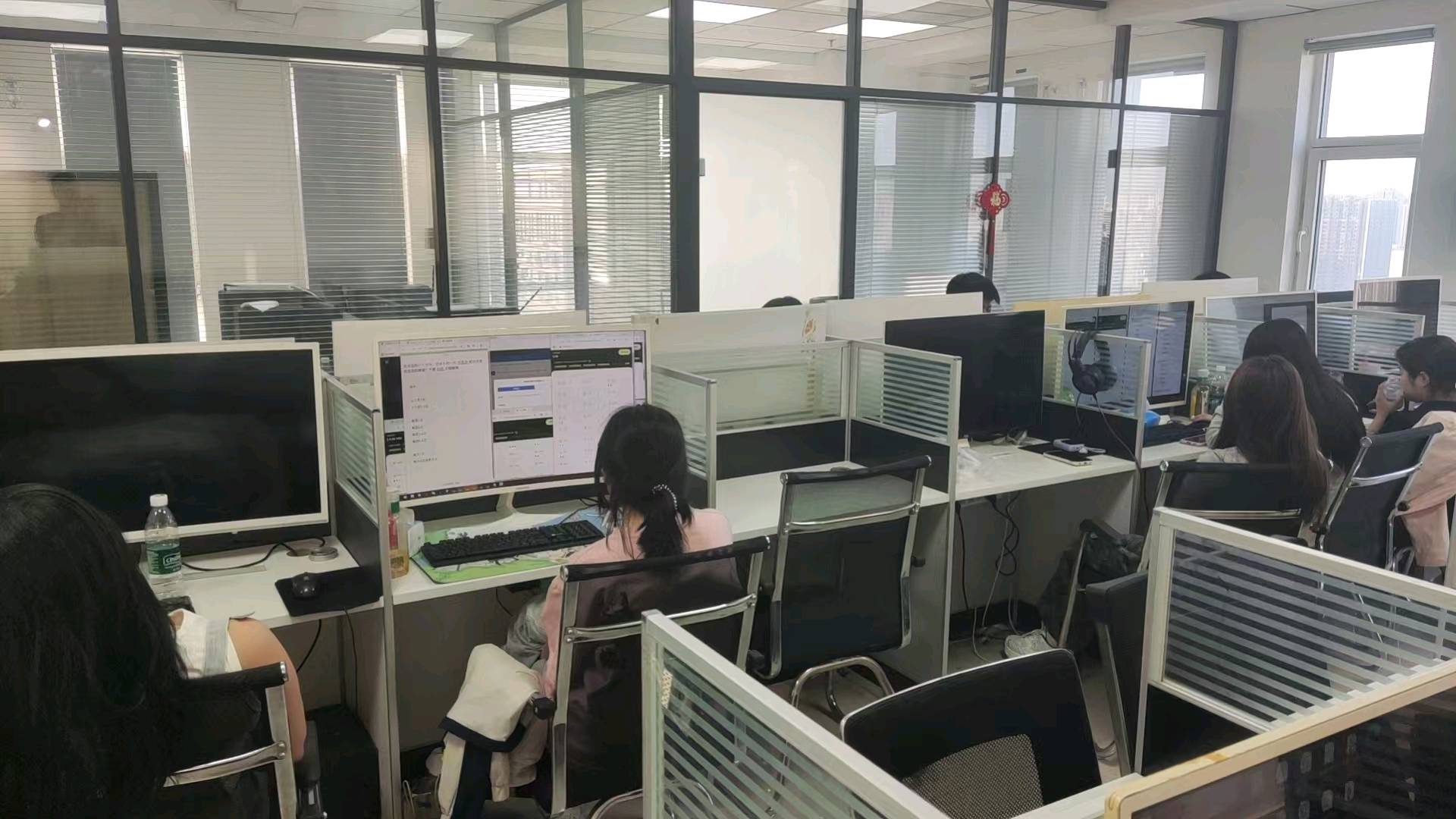 张先生1V1免费教，海外国外问卷调查、视频教程咨询就送，日结