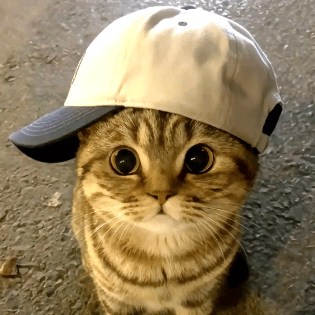 u客直谈实名认证葛女士