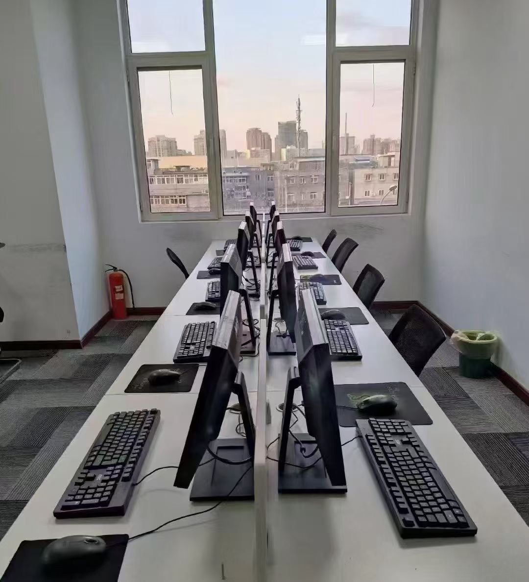 汤女士正规官方游戏搬砖，0套路，支持实地先学习再合作